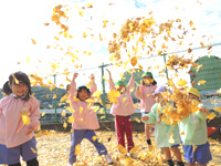 学校法人　西成学園　あやめ東幼稚園